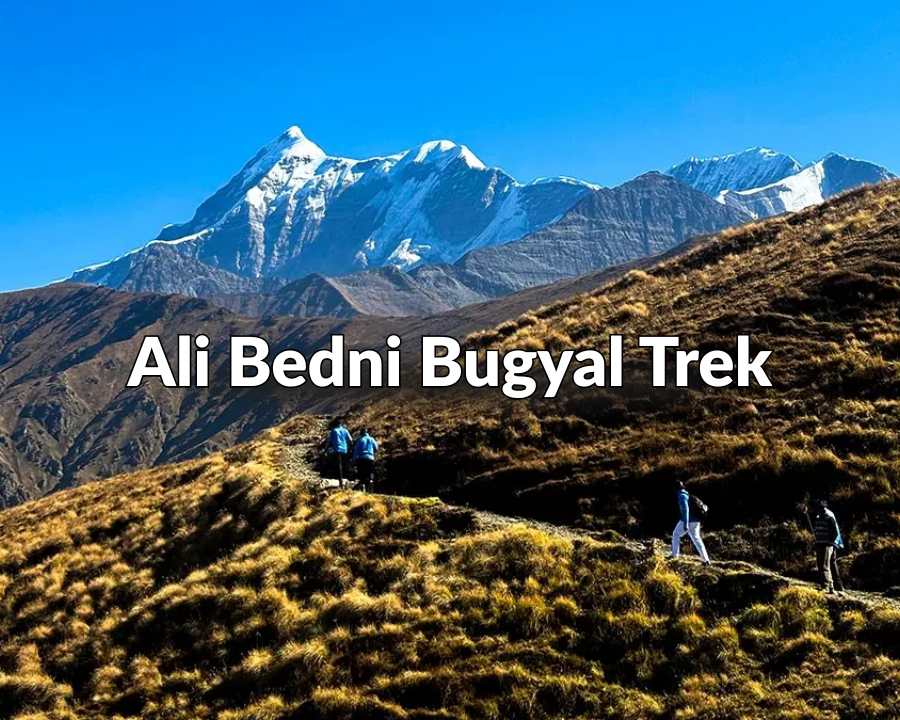 Ali Bedni Bugyal 